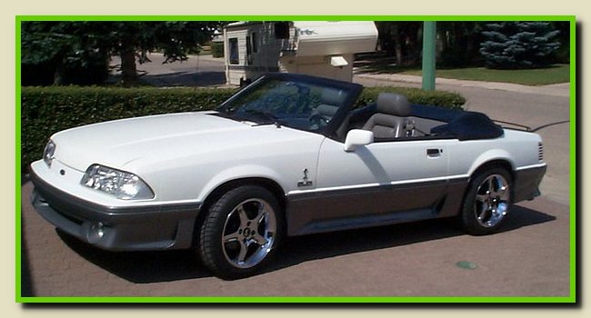 Wilf-Runge - 1989 Mustang GT Cobra.jpg